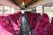 Intercity coaches - Van Hool 916SC2