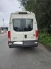 Minibus & truck derived - Iveco 60C15