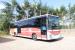 Autobuses (urbanos) - Iveco